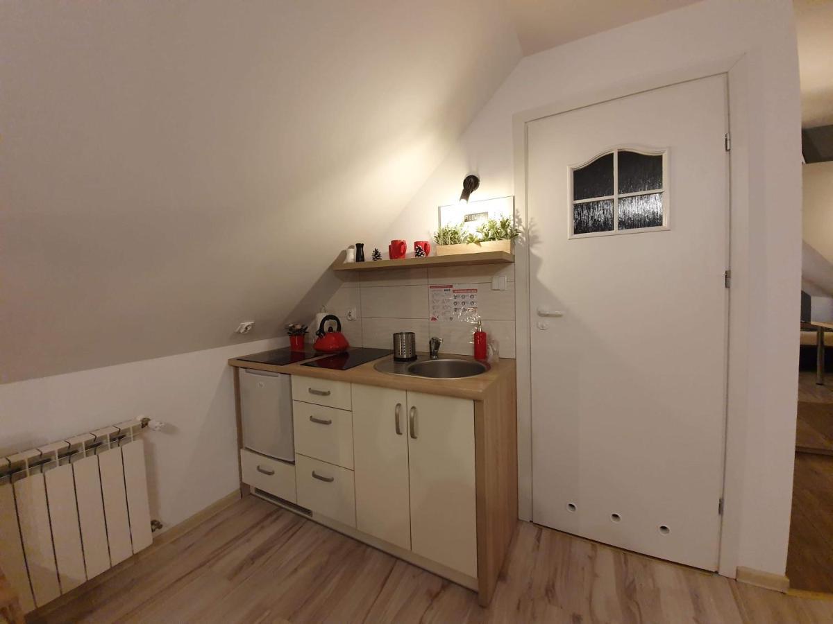Apartament Jaskier Zakopane Exterior photo